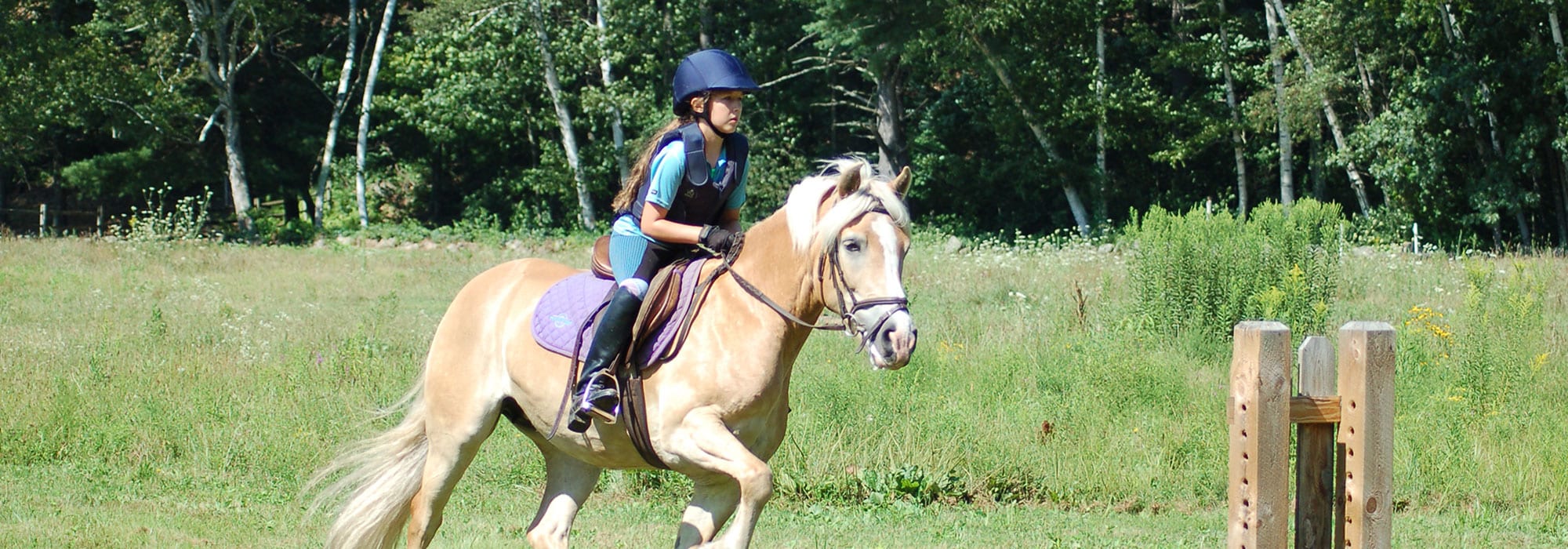 Horseback Riding at Pompositticut Farm